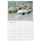 Underwater of Siquijor S- L size カレンダー (3月 2027)
