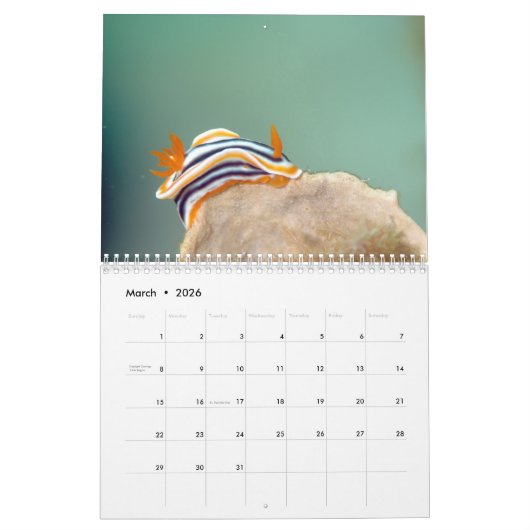 Underwater of Siquijor S- L size カレンダー (3月 2026)