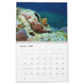 Underwater of Siquijor S- L size カレンダー (1月 2027)