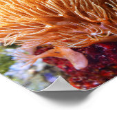Underwater Sea Coral ポスター (角)