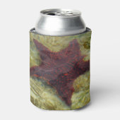 Underwater Starfish in the Bahamas 缶クーラー (缶正面)