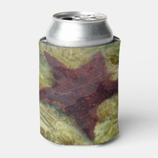 Underwater Starfish in the Bahamas 缶クーラー (缶正面)