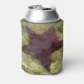 Underwater Starfish in the Bahamas 缶クーラー (缶裏面)