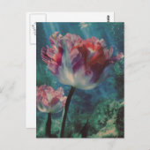 Underwater Tulip ポストカード (正面/裏面)