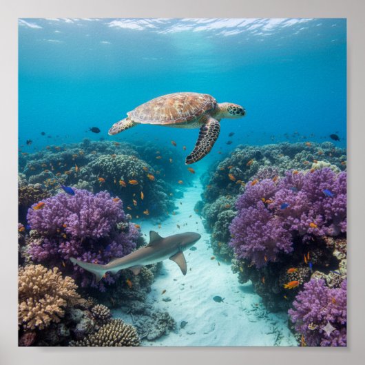 Underwater Wonderland: Coral Reef, Sea Turtle ポスター (正面)