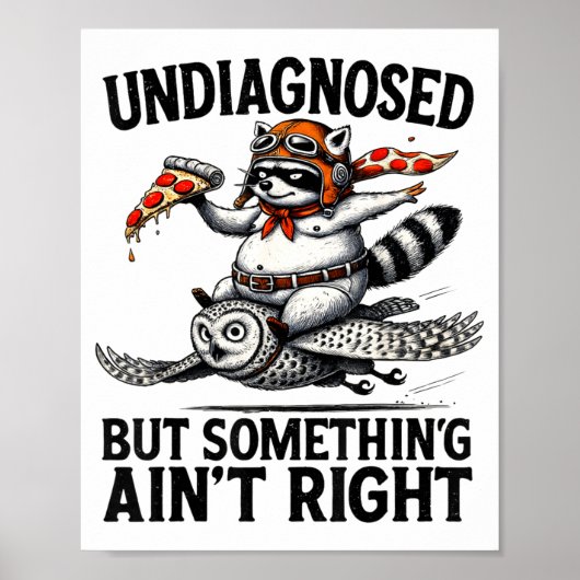 Undiagnosed Soing Aint Right Funny Raccoon Zza Owl ポスター (正面)