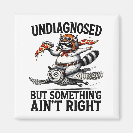Undiagnosed Soing Aint Right Funny Raccoon Zza Owl マグネット (正面)