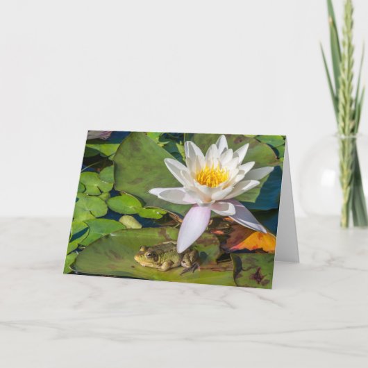 Une grenouille sous une fleur de nénuphar カード (正面)