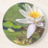 Une grenouille sous une fleur de nénuphar コースター (正面)