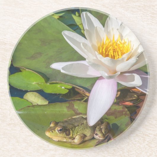 Une grenouille sous une fleur de nénuphar コースター (正面)