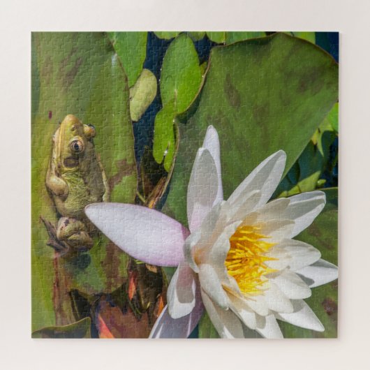 Une grenouille sous une fleur de nénuphar ジグソーパズル (横)