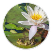 Une grenouille sous une fleur de nénuphar セラミックノブ (正面)
