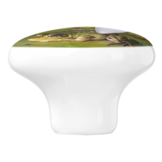 Une grenouille sous une fleur de nénuphar セラミックノブ (側面)