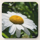 une margueritte, font vert コースター (正面)