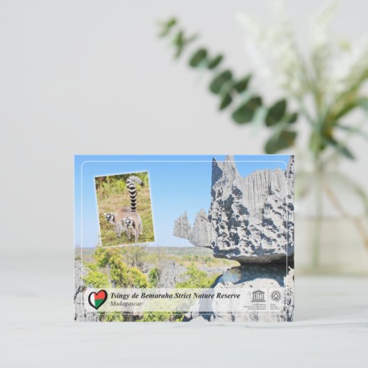 UNESCO - Tsingy de Bemaraha Strict Nature Reserve ポストカード (スタンド正面)