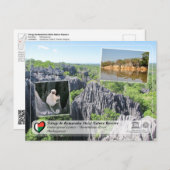 UNESCO - Tsingy de Bemaraha Strict Nature Reserve ポストカード (正面/裏面)