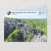 UNESCO - Tsingy de Bemaraha Strict Nature Reserve ポストカード (正面)