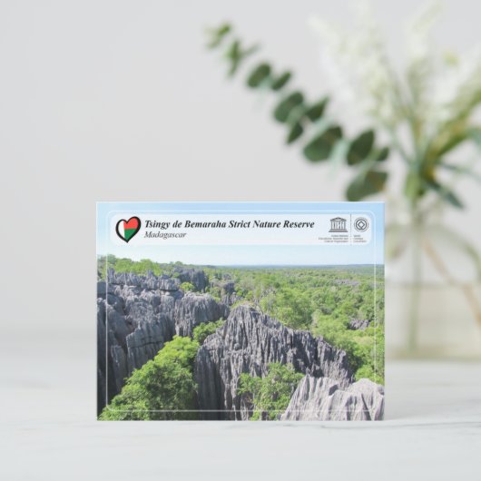 UNESCO - Tsingy de Bemaraha Strict Nature Reserve ポストカード (スタンド正面)