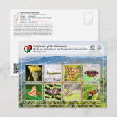 UNESCO WHS - Atsinanana - Ranomafana National Park ポストカード (正面/裏面)