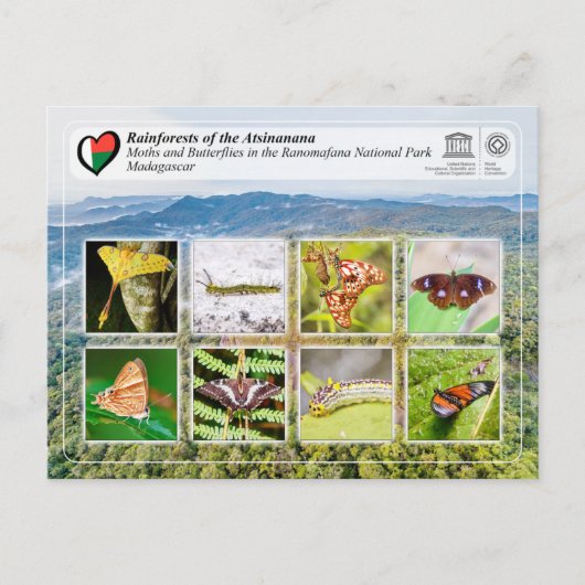 UNESCO WHS - Atsinanana - Ranomafana National Park ポストカード (正面)