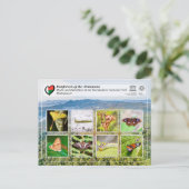 UNESCO WHS - Atsinanana - Ranomafana National Park ポストカード (スタンド正面)