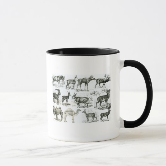 UngalataかHoofed動物 マグカップ (右)