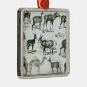 UngalataかHoofed動物 メタルオーナメント (右)