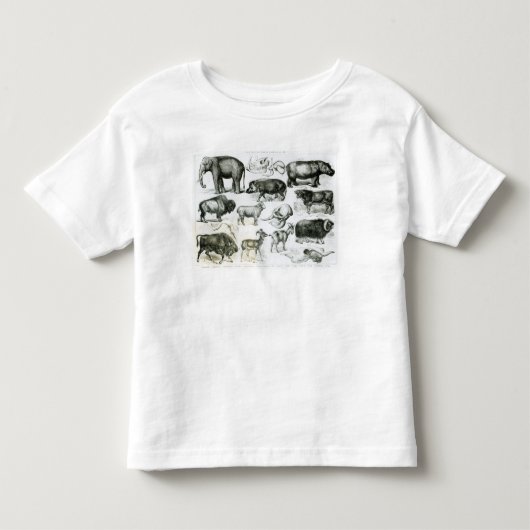 UngulataかHoofed動物 トドラーTシャツ (正面)