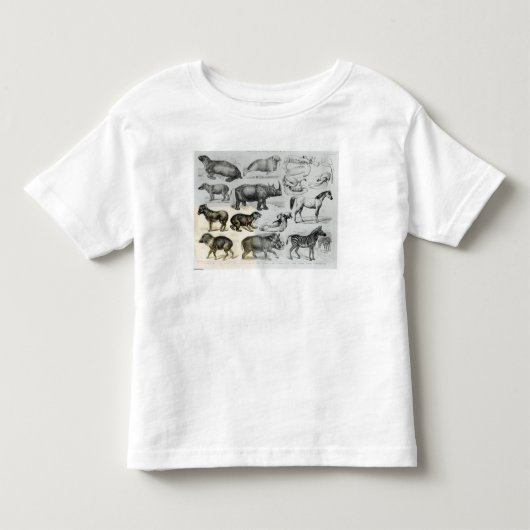 UngulataかHoofed動物 トドラーTシャツ (正面)
