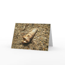 Unicornシェルオンビーチ