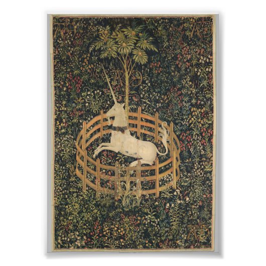 Unicorn in Captivity フォトプリント (正面)