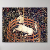 Unicorn In Captivity ポスター (正面)