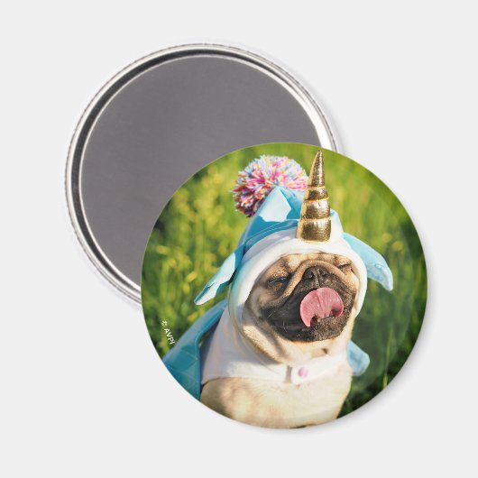 Unicorn Pug マグネット (正面/裏面)