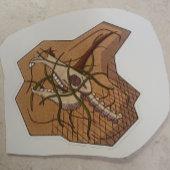 Unicorn skull beach sticker シール