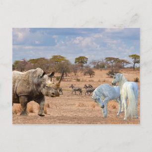 Unicorns Cubby Rhino Rhinoceros Africa ポストカード