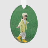 Unique Acrylic Oval Ornament Featuring Your Image オーナメント (正面)