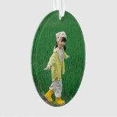 Unique Acrylic Oval Ornament Featuring Your Image オーナメント (正面)