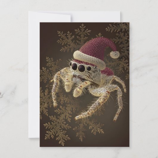 Unique Jumping Spider Christmas Cards シーズンカード (正面)