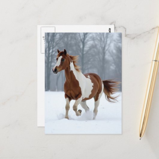 Unique Winter Paint Horse ポストカード (正面/裏面インサイチュ)
