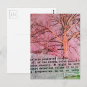 Unique Winter Tree Mixed Media Collage ポストカード (正面/裏面)
