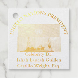#UNITEDNATIONSPRESIDENT DR. #LAURAHCASTILLOS ESQ. フェイバータグ