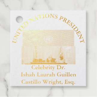 #UNITEDNATIONSPRESIDENT DR. #LAURAHCASTILLOS ESQ. フェイバータグ