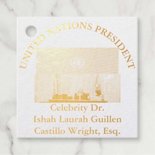 #UNITEDNATIONSPRESIDENT DR. #LAURAHCASTILLOS ESQ. フェイバータグ (正面)