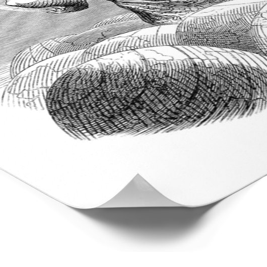 Universe/Planetary Juggler ポスター (角)