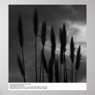 University of California, Santa Cruz, Ansel Adams ポスター
