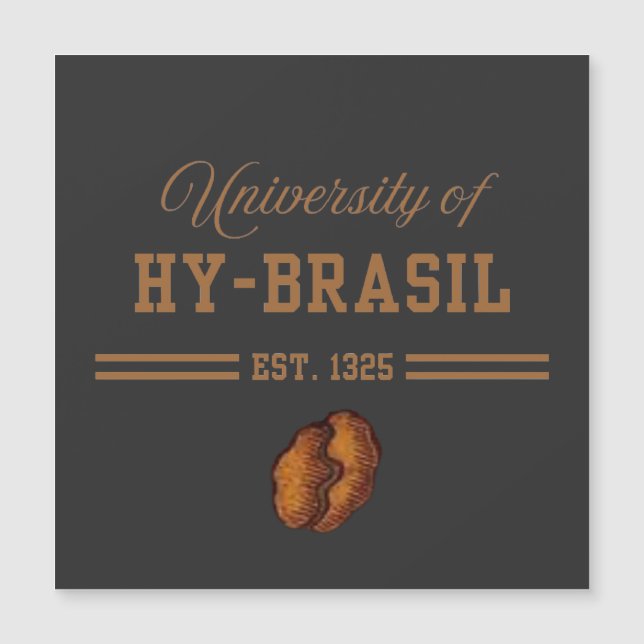 University of Hy-Brasil, Est. 1325 (正面)