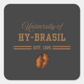 University of Hy-Brasil, Est. 1325 スクエアシール (正面)