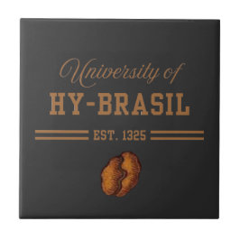 University of Hy-Brasil, Est. 1325 タイル