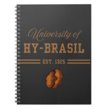 University of Hy-Brasil, Est. 1325