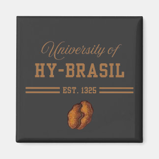 University of Hy-Brasil, Est. 1325 マグネット